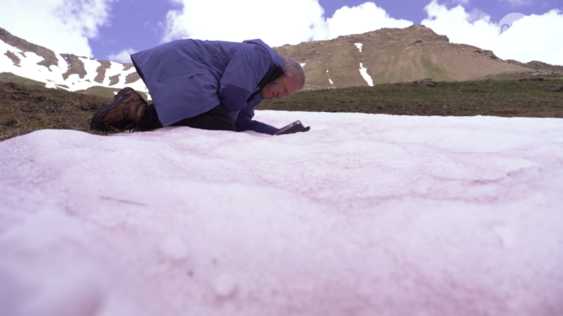 A la recherche de la biodiversité dans la neige