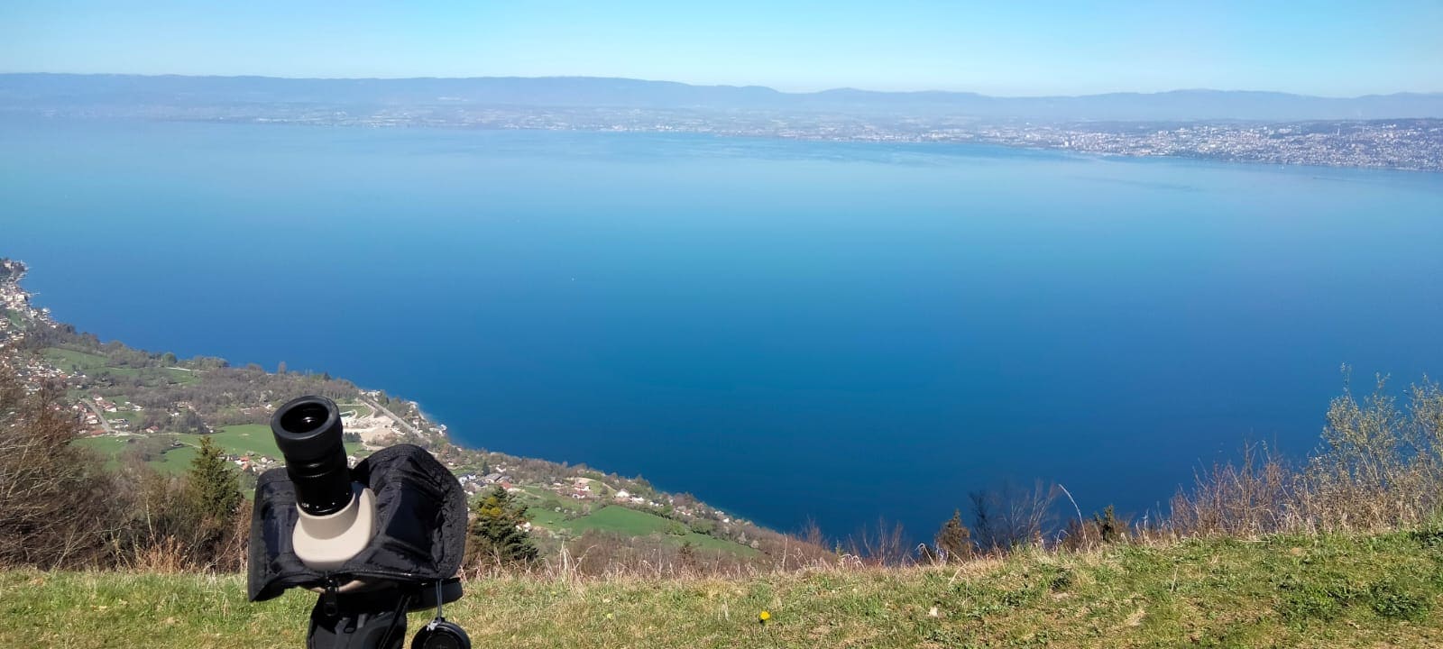 Migration : le retour du printemps !