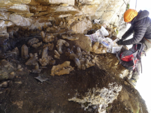 credits Joël Leroux